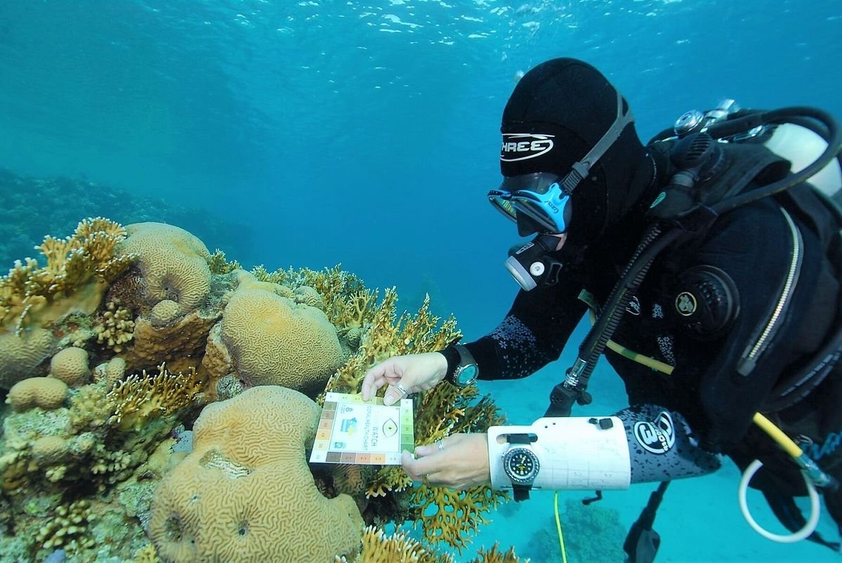 Seaweed cultivation and marine biotechnology research